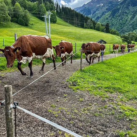 Oberlehenhof Kaprun